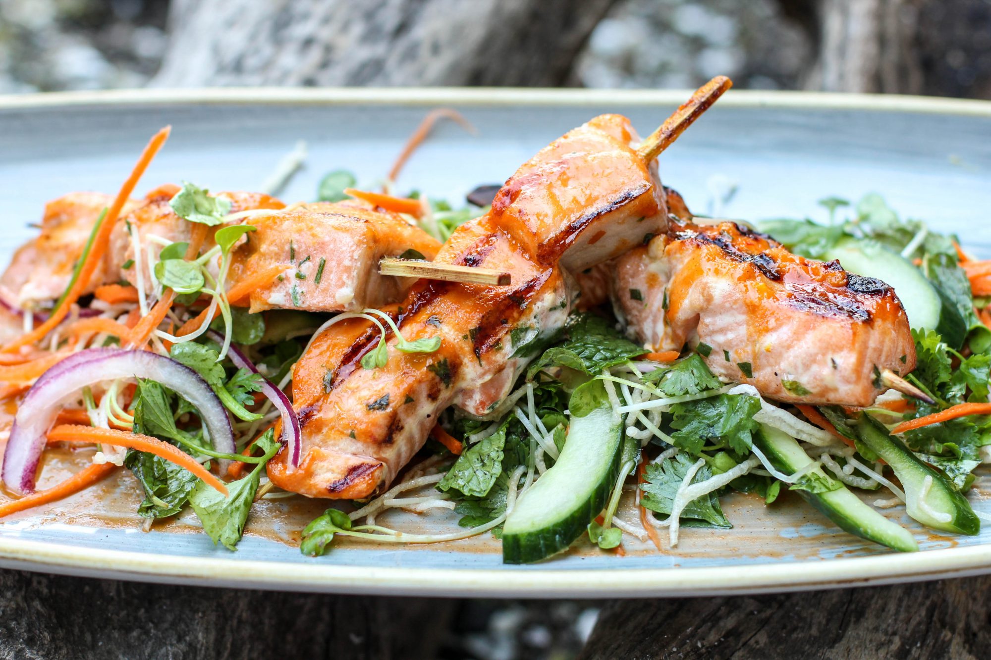 Salmon skewers cheap